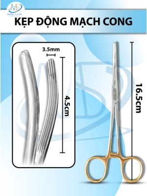 Kẹp động mạch cong 16.5cm, đầu D4.5cm R3.5mm