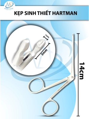 Kẹp sinh thiết Hartman Dài 14cm thẳng, đầu D3mm R1mm